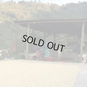 画像3: グアテマラ トゥウィハ農園 【中深煎り】