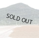 ブラジル ペドラレドンダ   【中煎り】