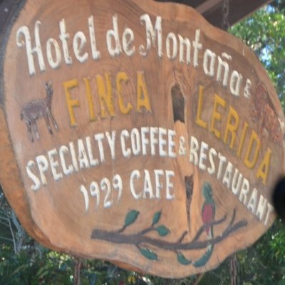 画像1: パナマ レリダ農園 【中浅煎り】