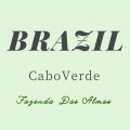 ブラジル カボ・ヴェルデ  【中煎り】