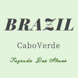 画像1: ブラジル カボ・ヴェルデ  【中煎り】