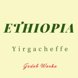 エチオピア イルガチェフェ ゲデブ ウォルカ 【中浅煎り】