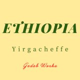 エチオピア イルガチェフェ ゲデブ ウォルカ 【中浅煎り】