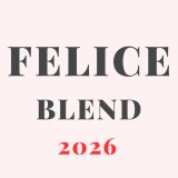 フェリーチェブレンド 【中煎り】