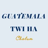 グアテマラ トゥウィハ農園 【中深煎り】