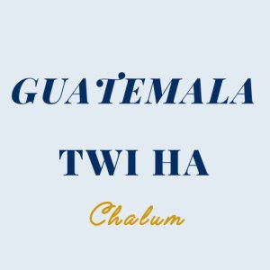画像1: グアテマラ トゥウィハ農園 【中深煎り】