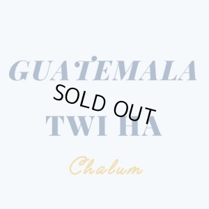 画像1: グアテマラ トゥウィハ農園 【中深煎り】