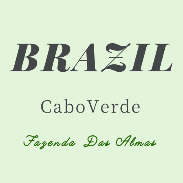 画像1: ブラジル カボ・ヴェルデ  【中煎り】 (1)